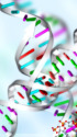 Double Helix of DNA