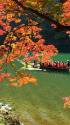 嵐山の紅葉と保津川下り舟