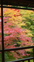 京都・八瀬の紅葉