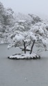 雪の金閣寺・鏡湖池