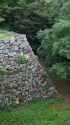 彦根城の石垣と緑