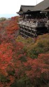 錦秋の京都・清水寺