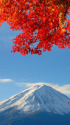 富士山秋景色