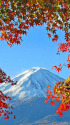 もみじと富士山