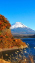 晩秋・本栖湖からの富士山。
