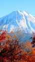 紅く燃える木々と富士山。