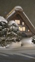雪の和田家