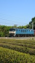 EF64 1014貨物列車