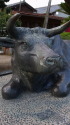 白潟天満宮の牛の銅像