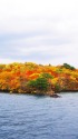 十和田湖の紅葉
