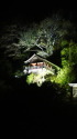 ライトアップ山寺