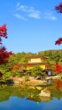 京都の紅葉(金閣寺)