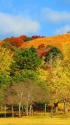 晩秋の奈良若草山