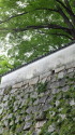 岡山城の石垣と土塀