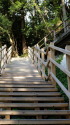 河津七滝ハイキングコースの階段