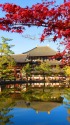 奈良東大寺の秋
