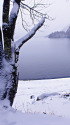 雪の中禅寺湖