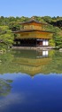 新緑の金閣寺