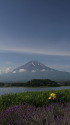 富士山&ラベンダー