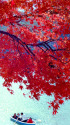 五色沼の紅葉～1989年