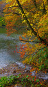 秋の十二湖 鶏頭場の池