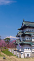 弘前城と岩木山と桜