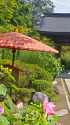 鎌倉 海蔵寺