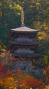 紅葉の摩頂山国泰寺三重塔