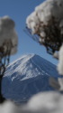 雪の中の富士山