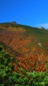 秋の安達太良山