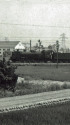 貨物列車を牽くD50～1963年