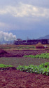 会津の田園風景～1972年