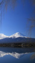 河口湖逆さ富士