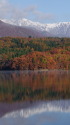 小蓮華と秋の湖畔