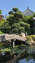 日本庭園にて
