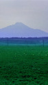 サロベツ原野と利尻山～1977年