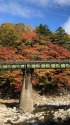 秋の鉄橋