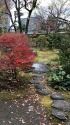 秋の小庭