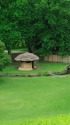 緑の公園 2