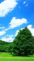 つぶ沼公園
