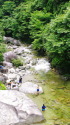 夏の尾白川渓谷