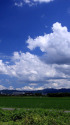 夏空