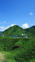 八の山