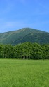 山と草原の風景