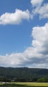 秋雲