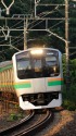 東海道線 E217系