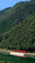球磨川沿いを行くキハ185系特急