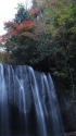 紅葉間近