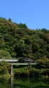 川沿いを行くSLばんえつ物語