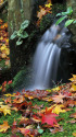 散紅葉と小さな滝